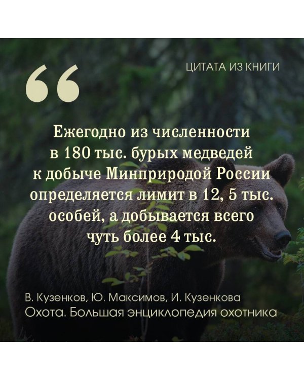 Охота. Большая энциклопедия. 17 диких зверей