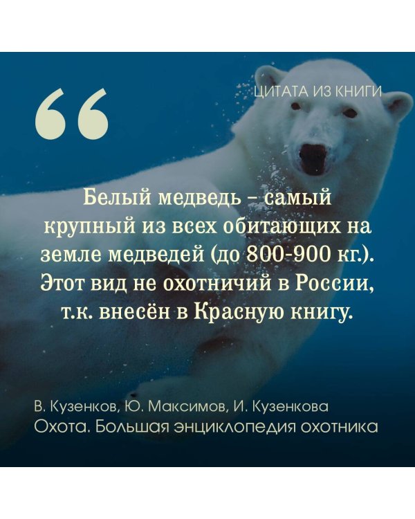 Охота. Большая энциклопедия. 17 диких зверей