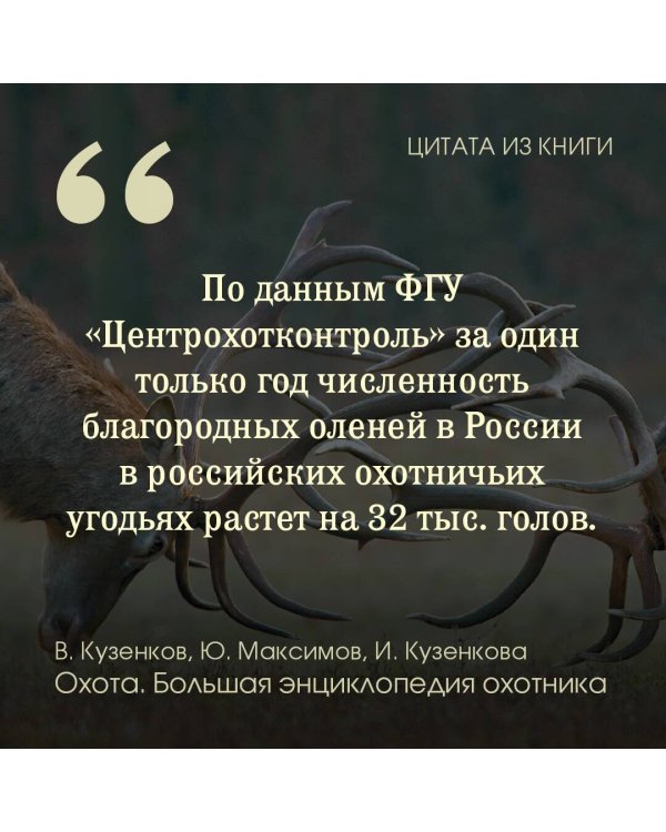 Охота. Большая энциклопедия. 17 диких зверей