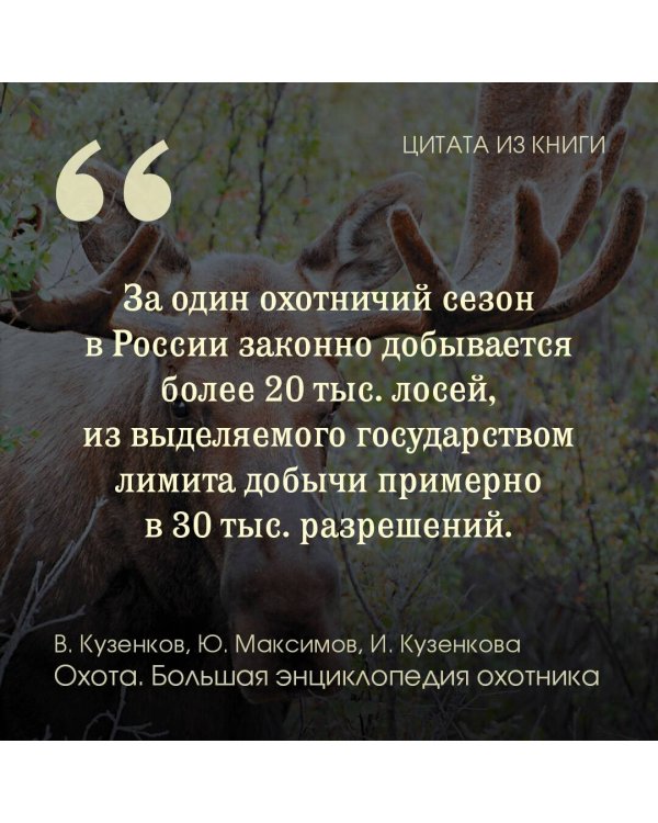 Охота. Большая энциклопедия. 17 диких зверей