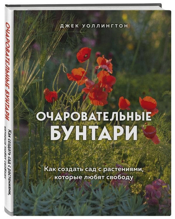 Очаровательные бунтари. Как создать сад с растениями, которые любят свободу
