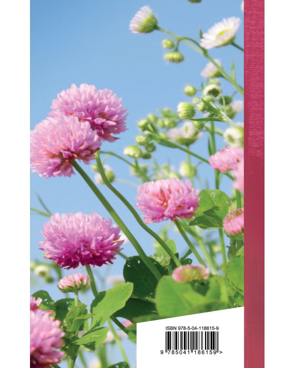 Когда стихи улыбаются