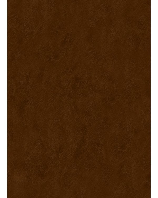 Библия. Книги Священного Писания Ветхого и Нового Завета, с параллельными местами, с цветными иллюстрациями, синодальный перевод, в кожаном переплете (с грифом РПЦ)