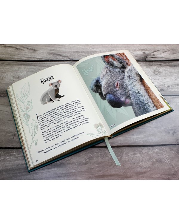 Удивительные животные. Энциклопедия