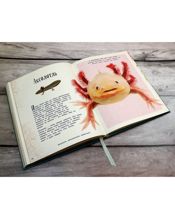 Удивительные животные. Энциклопедия