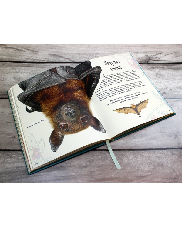 Удивительные животные. Энциклопедия