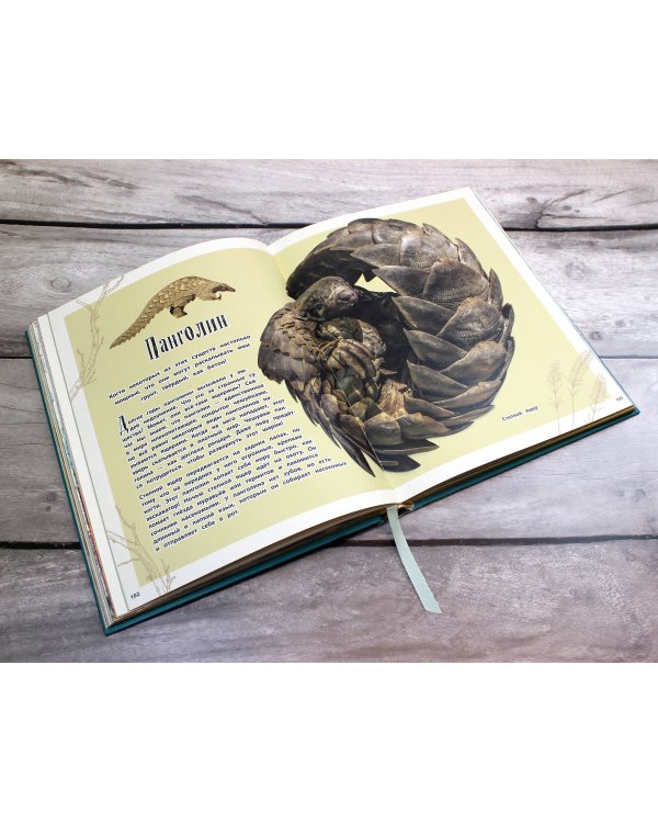 Удивительные животные. Энциклопедия