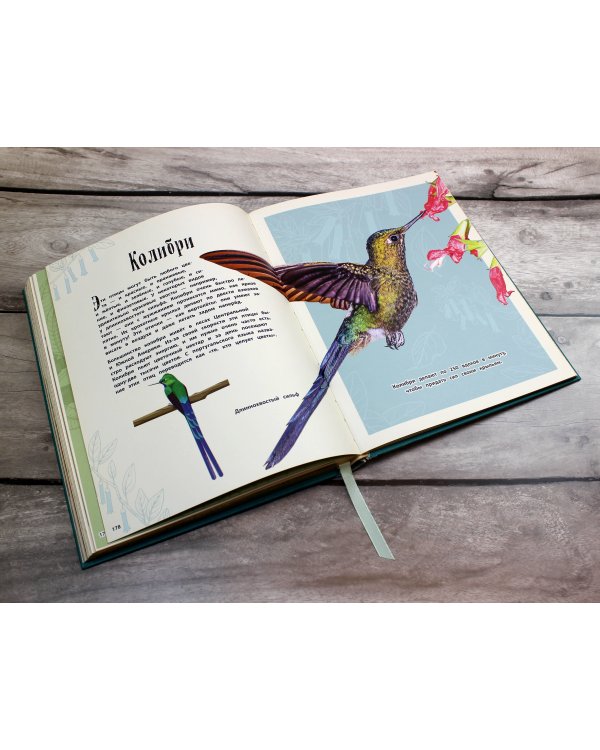 Удивительные животные. Энциклопедия