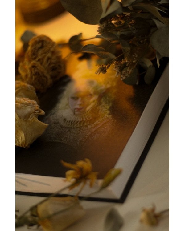 Вампиры. Происхождение и воскрешение. От фольклора до графа Дракулы