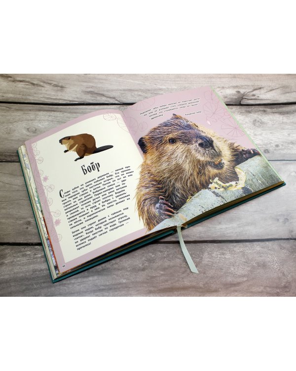 Удивительные животные. Энциклопедия