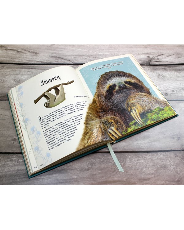 Удивительные животные. Энциклопедия