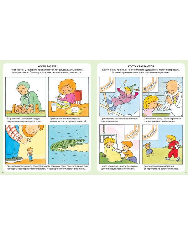 Тело человека