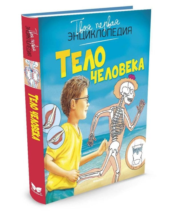 Тело человека