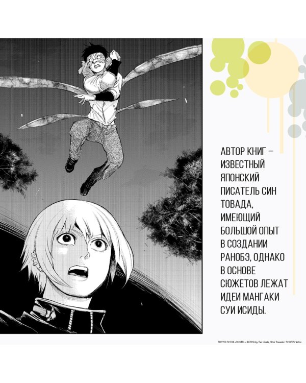 Токийский гуль. Пустота