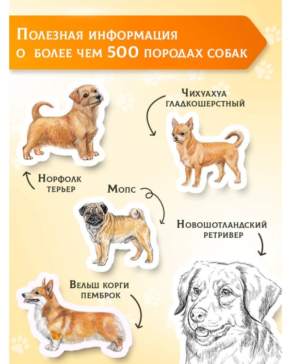 Породы собак Энциклопедия (вторая обложка с терьером)