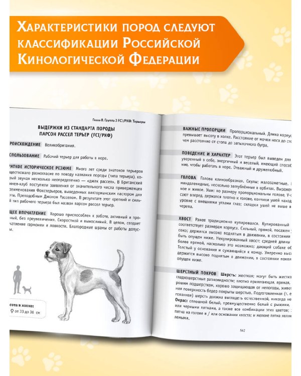 Породы собак Энциклопедия (вторая обложка с терьером)