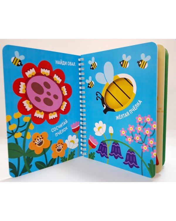 "Волшебные превращения". Ква-ква. Лягушонок и его друзья