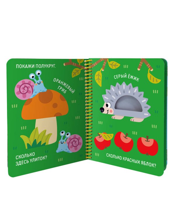 "Волшебные превращения". Ква-ква. Лягушонок и его друзья