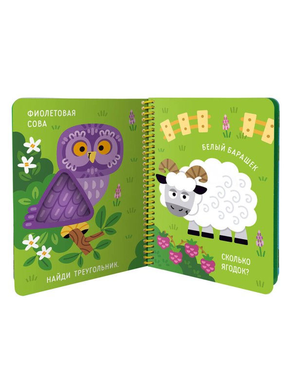 "Волшебные превращения". Ква-ква. Лягушонок и его друзья