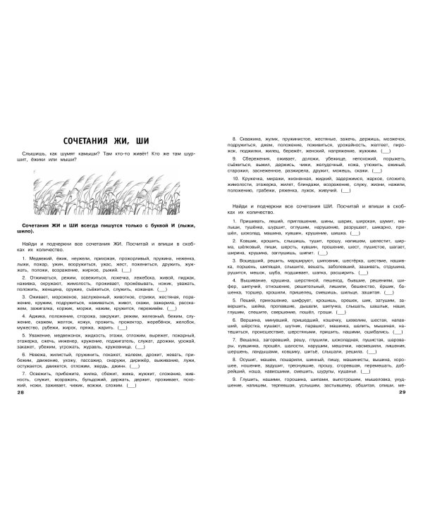 30000 тренировочных заданий по русскому языку. 1 класс