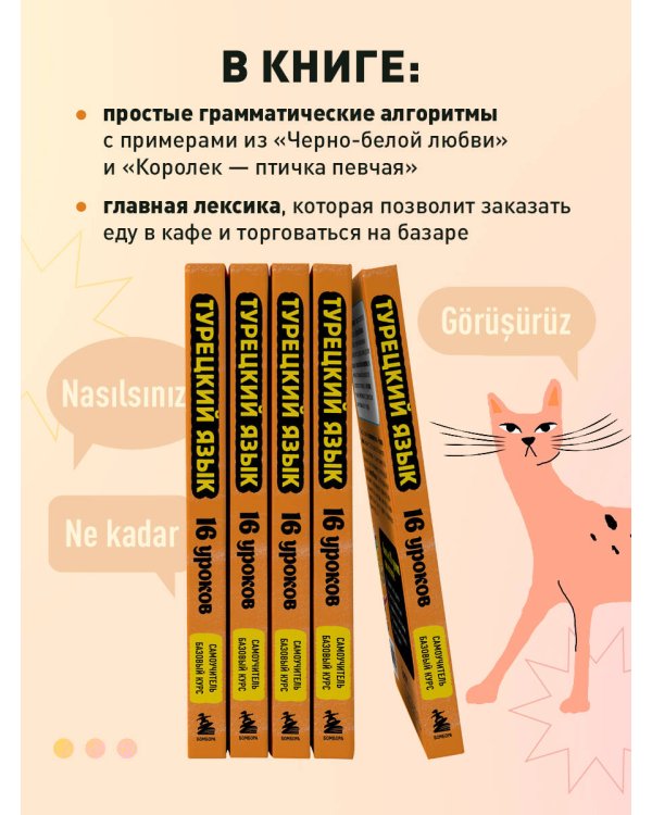 Турецкий язык, 16 уроков. Базовый курс