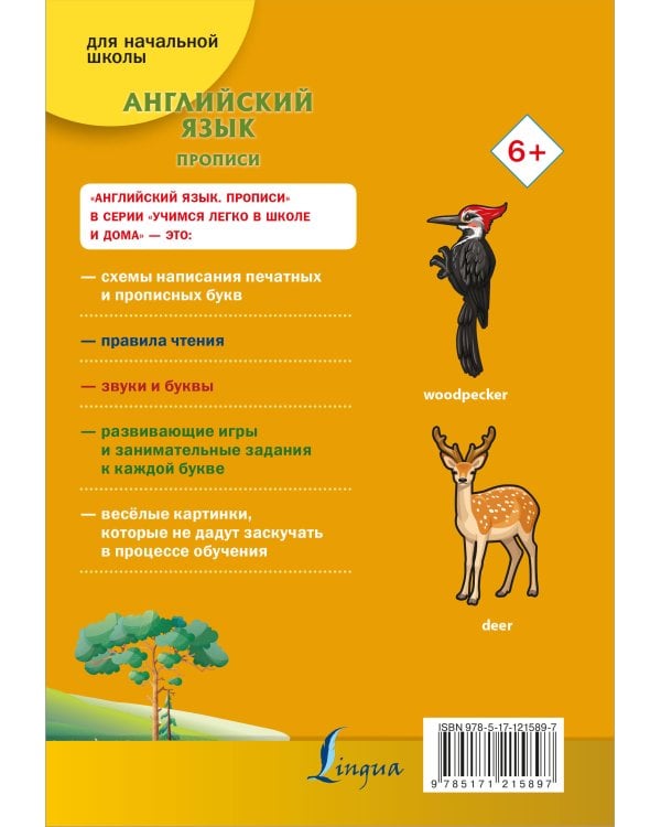 Английский язык. Прописи