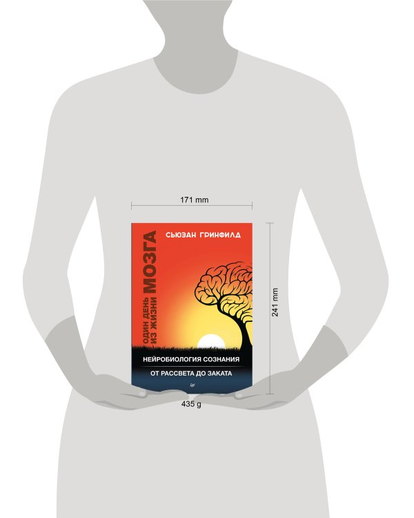 Один день из жизни мозга. Нейробиология сознания от рассвета до заката