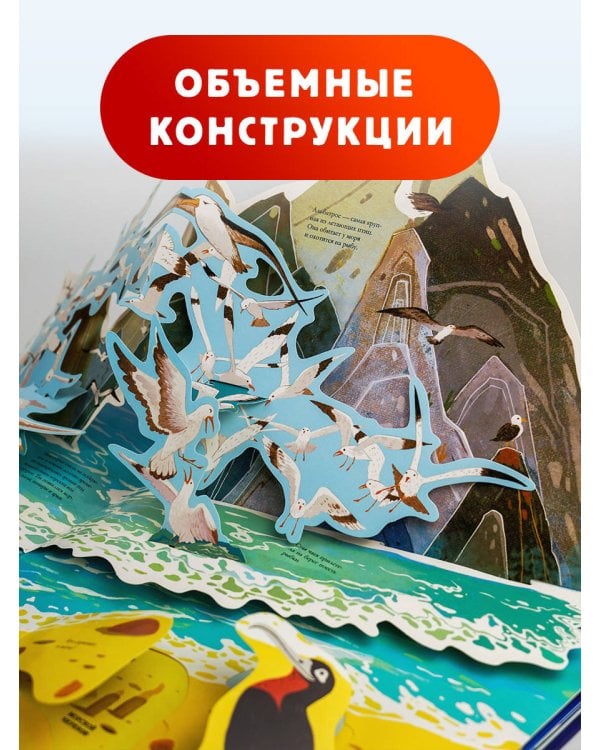 Подводный мир