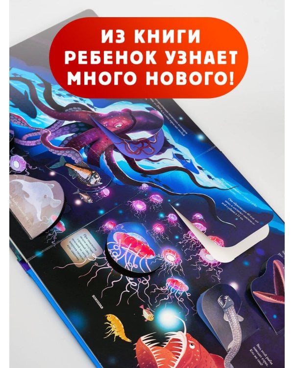 Подводный мир