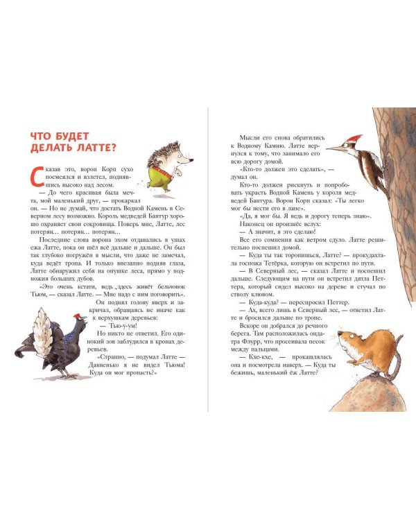 Еж Латте и Водный Камень. Приключение первое (ил. Д. Наппа)