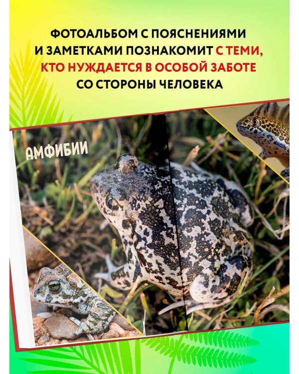 Красная книга России. Млекопитающие, птицы, рептилии, амфибии, рыбы, насекомые