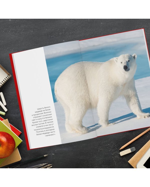 Красная книга России. Млекопитающие, птицы, рептилии, амфибии, рыбы, насекомые