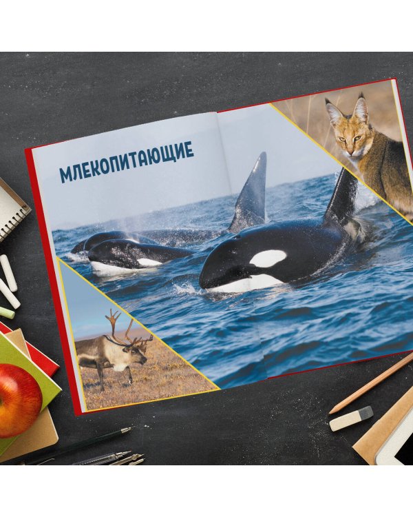 Красная книга России. Млекопитающие, птицы, рептилии, амфибии, рыбы, насекомые