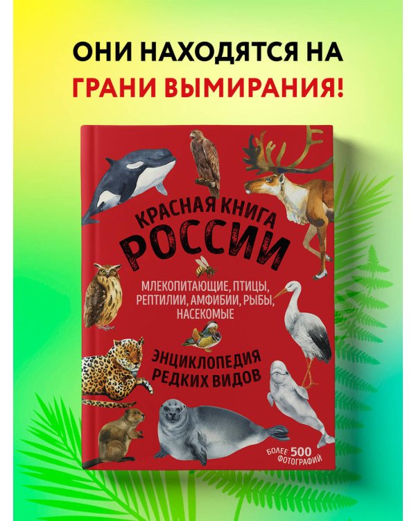Красная книга России. Млекопитающие, птицы, рептилии, амфибии, рыбы, насекомые