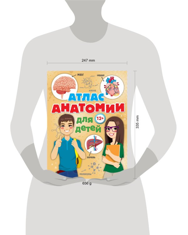 Атлас анатомии для детей