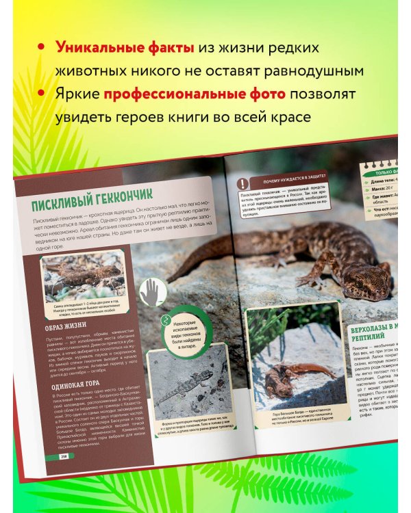 Красная книга России. Млекопитающие, птицы, рептилии, амфибии, рыбы, насекомые