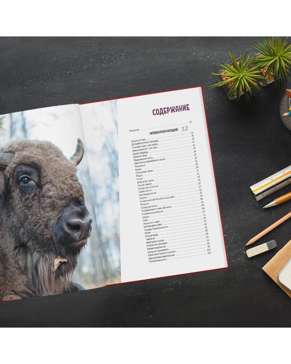 Красная книга России. Млекопитающие, птицы, рептилии, амфибии, рыбы, насекомые