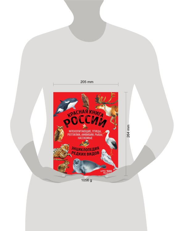 Красная книга России. Млекопитающие, птицы, рептилии, амфибии, рыбы, насекомые