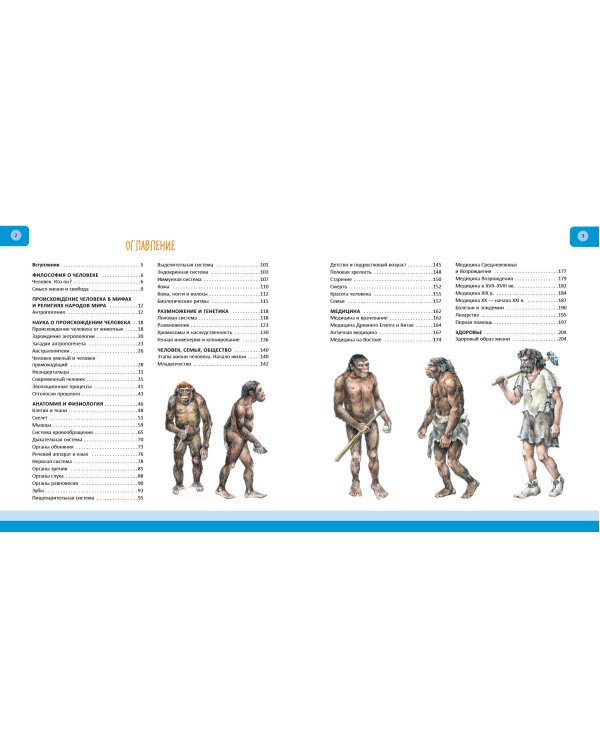 Человек. Полная энциклопедия