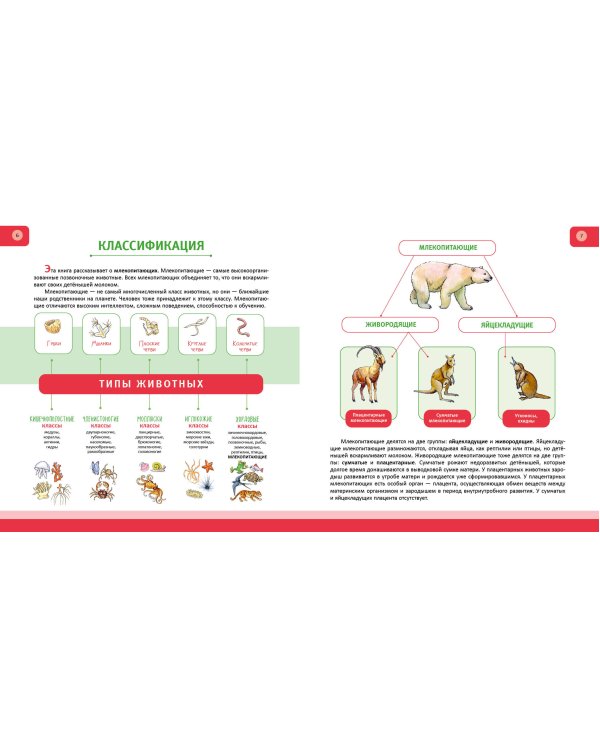 Животные. Полная энциклопедия