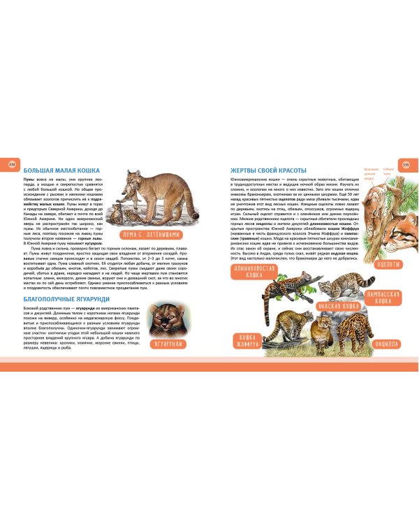 Животные. Полная энциклопедия