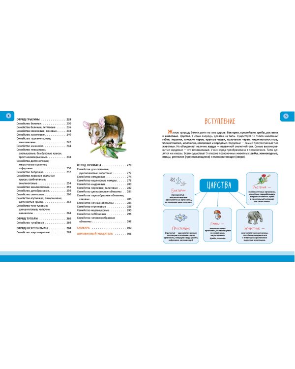 Животные. Полная энциклопедия