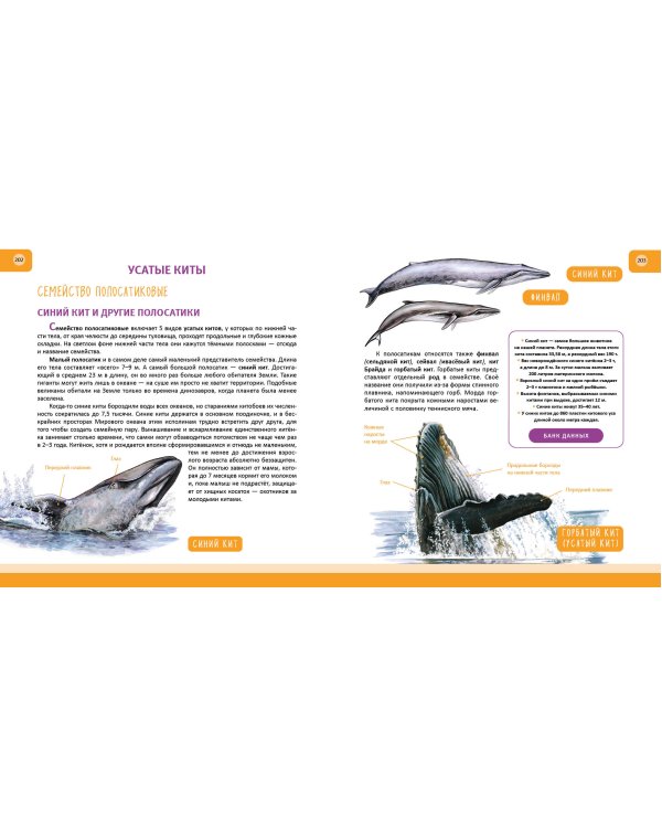 Животные. Полная энциклопедия