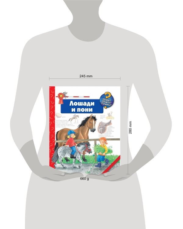 Лошади и пони