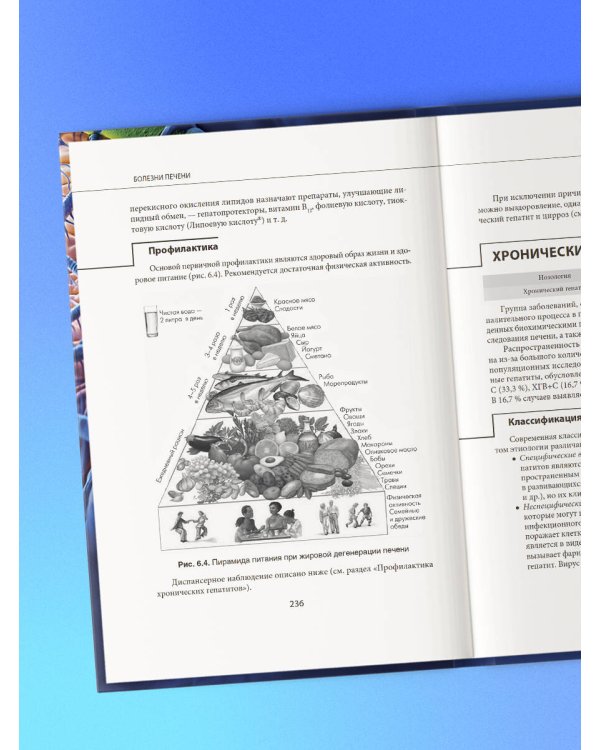 Наглядная детская гастроэнтерология и гепатология. Учебное пособие