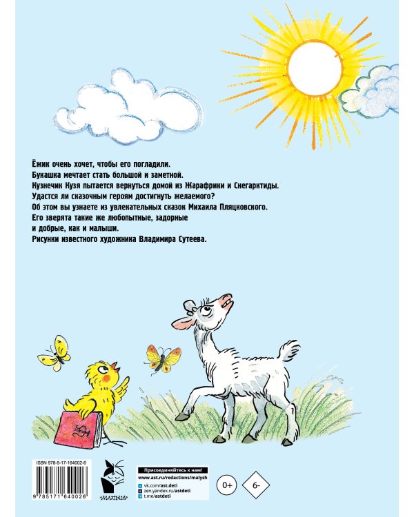 Солнышко на память. Рисунки В. Сутеева