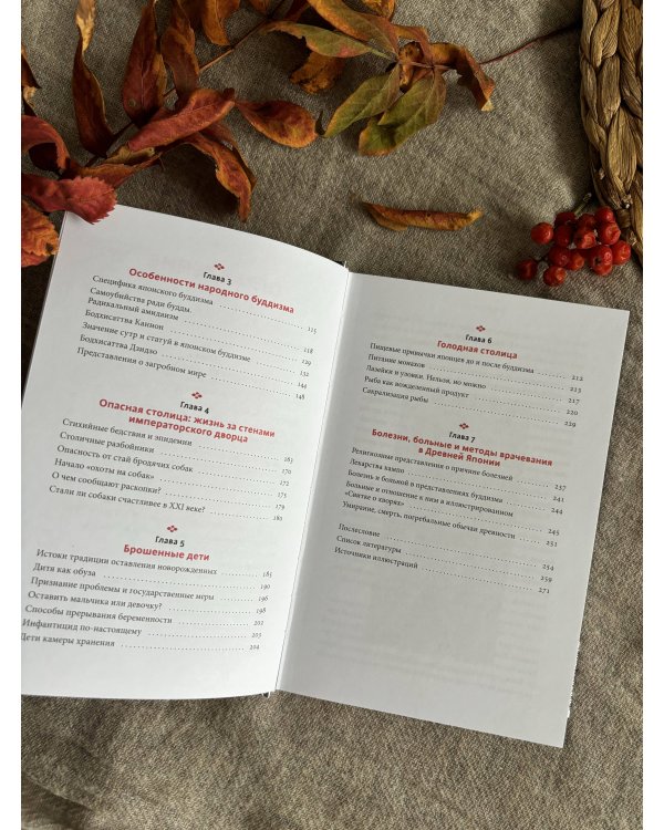 Темная сторона средневековой Японии. Оммёдзи, мстительные духи и жрицы любви