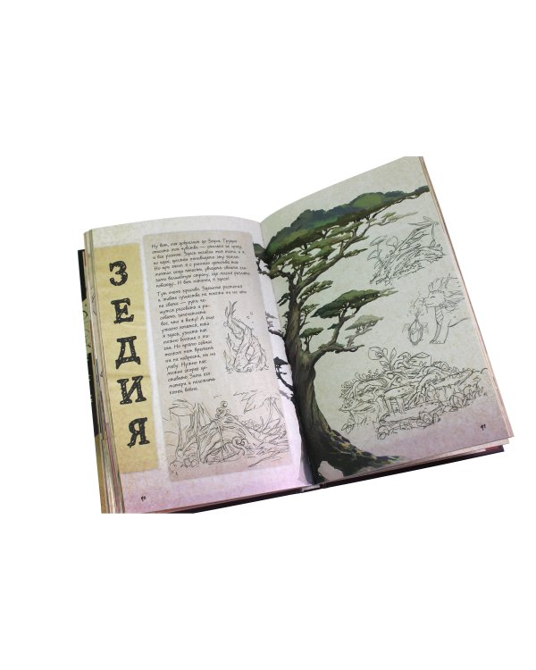 Принц-Дракон. Книга заклинаний Каллума