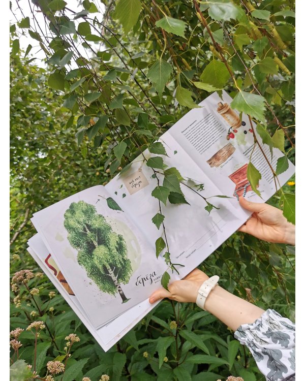 Мой гербарий. Листья деревьев(переупак)