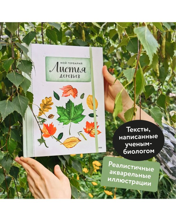 Мой гербарий. Листья деревьев(переупак)